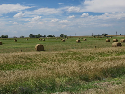 Wyoming Heuballen