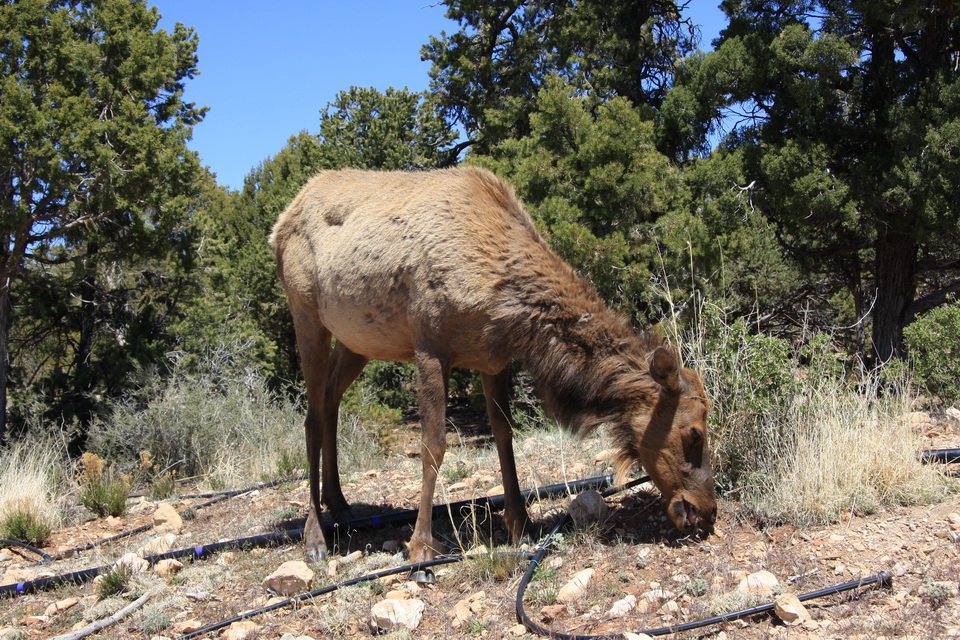 Best of the West Tour 2014