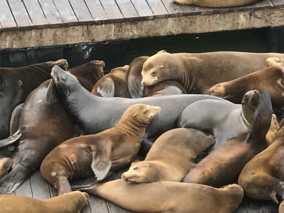 Best of the West Tour 2017