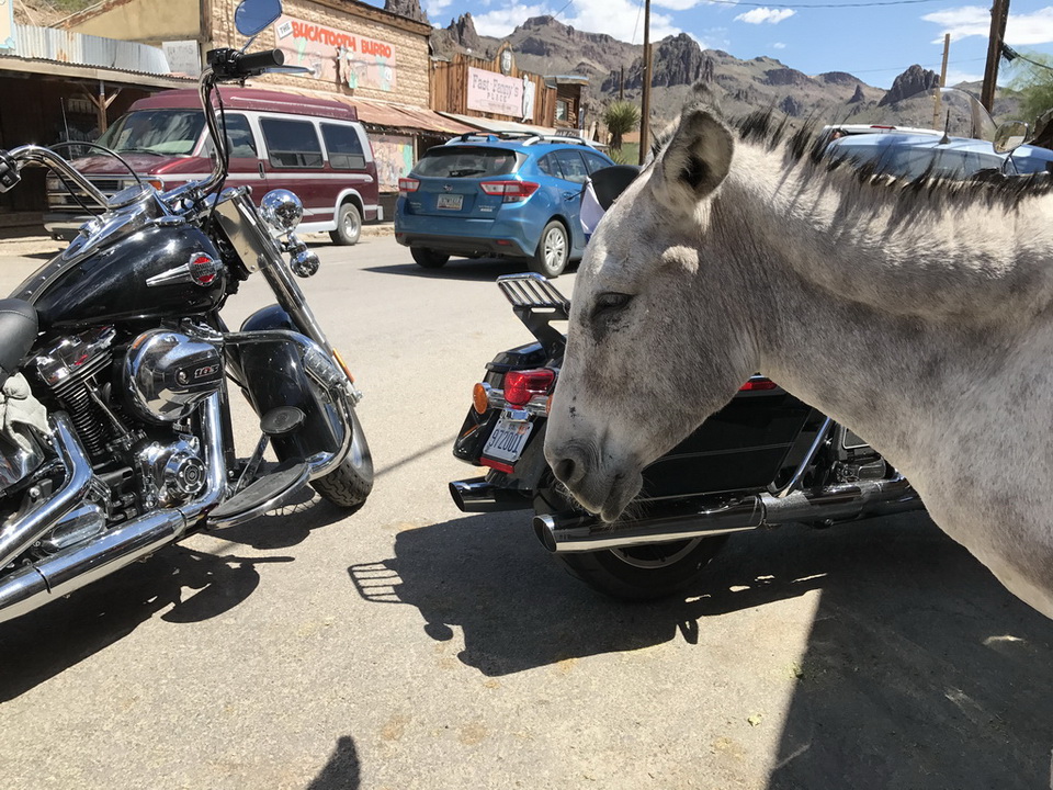 Best of the West Tour 2017