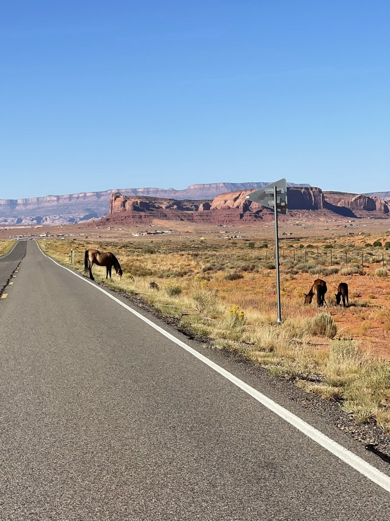 Best of the West Tour 2024