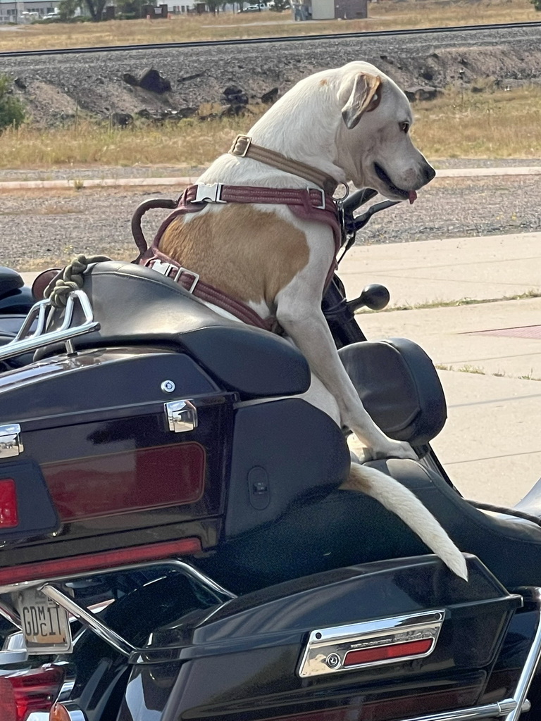 Best of the West Tour 2024