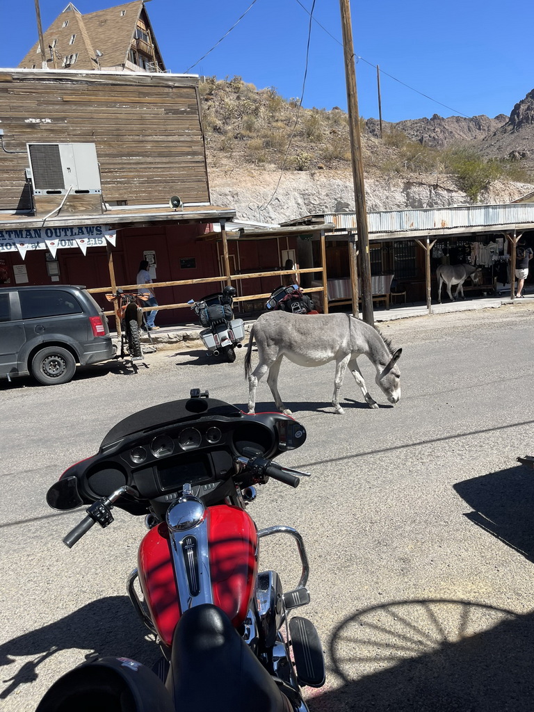 Best of the West Tour 2024