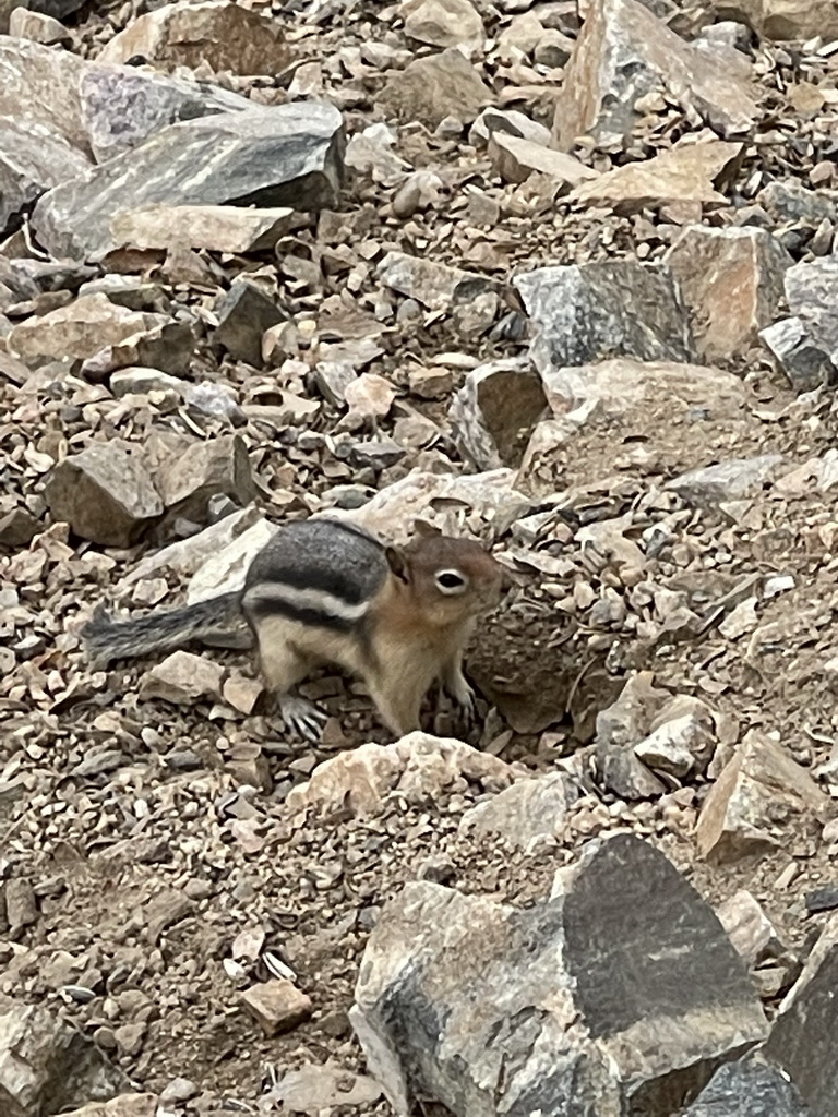 Best of the West Tour 2025