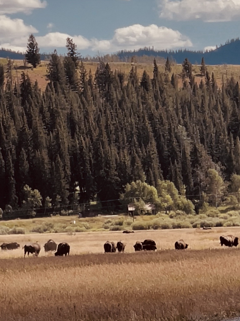 Best of the West Tour 2025