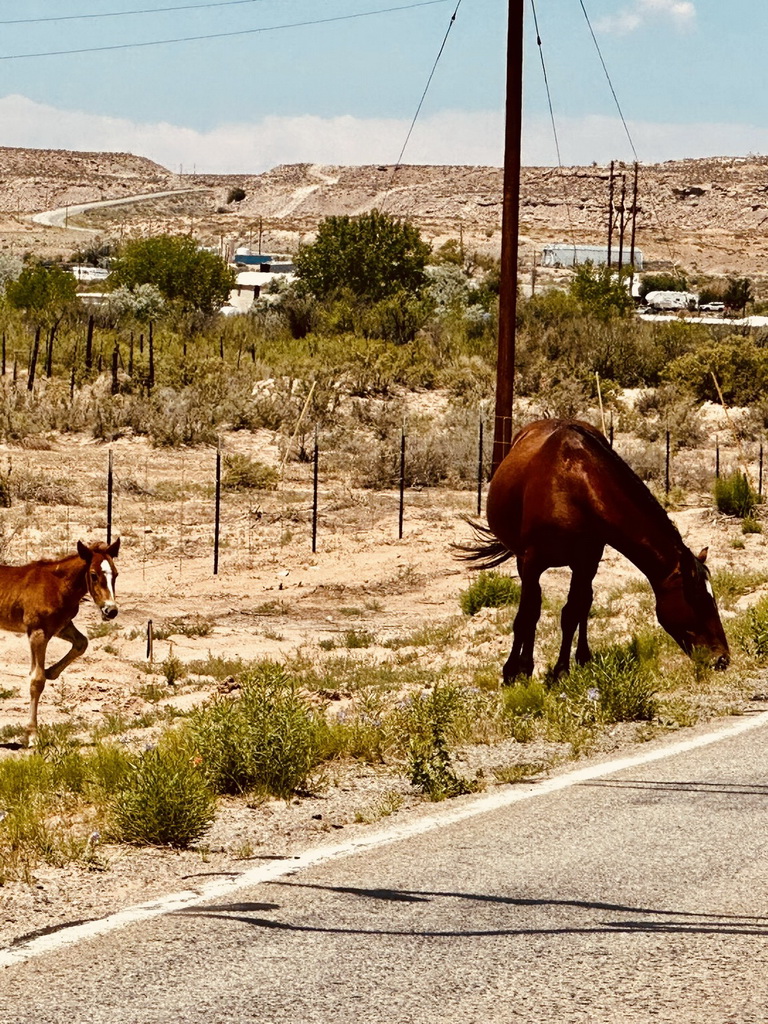 Route 66 Tour 2025-1