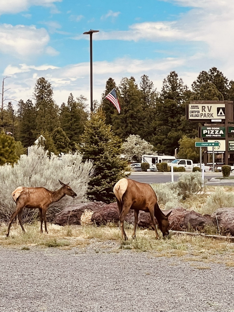 Route 66 Tour 2025-1