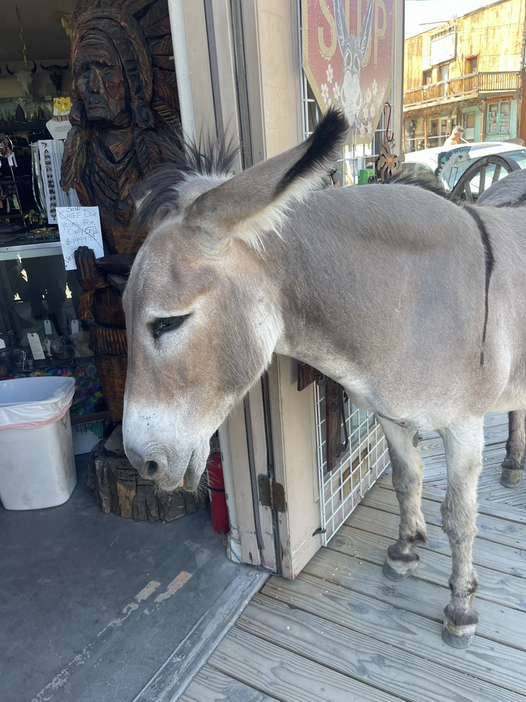 Route 66 Tour 2025-1