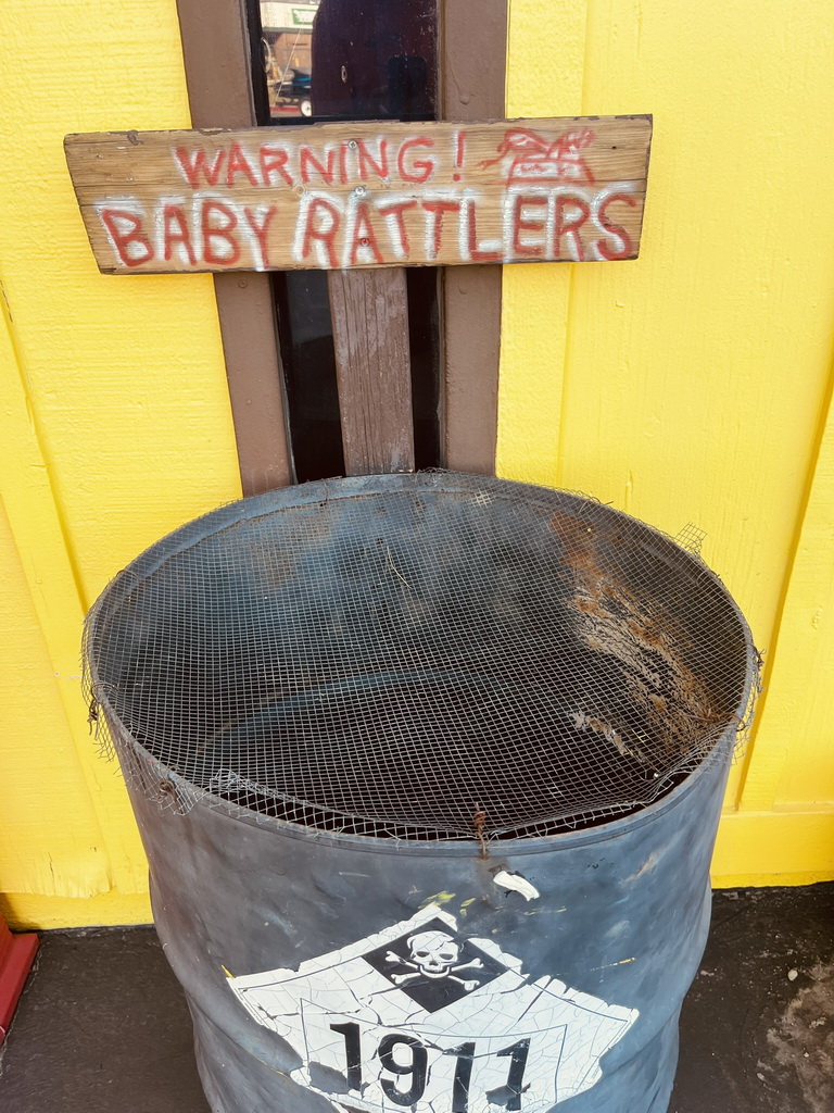 Route 66 Tour 2025-1