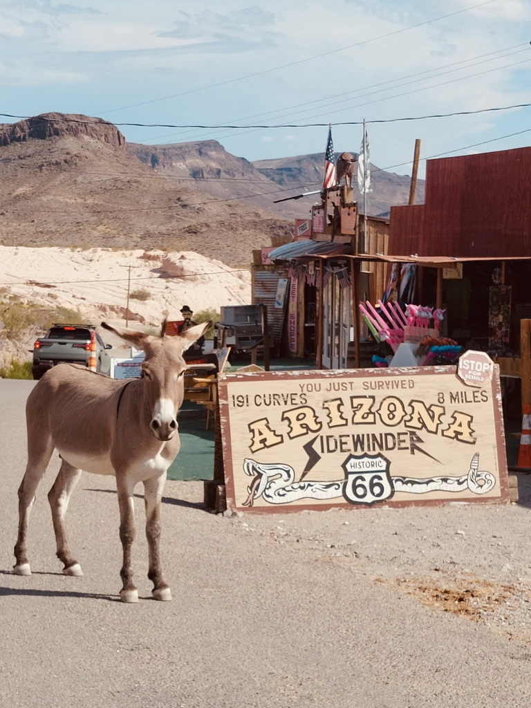 Route 66 Tour 2025-2