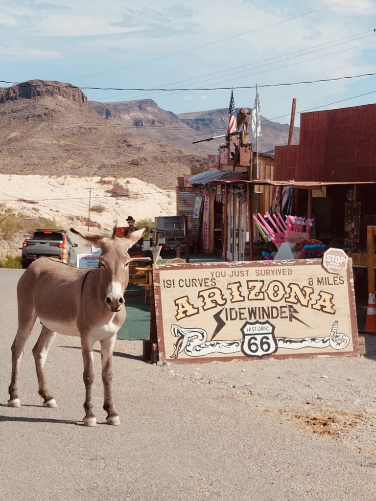 Oklahoma City bei Nacht