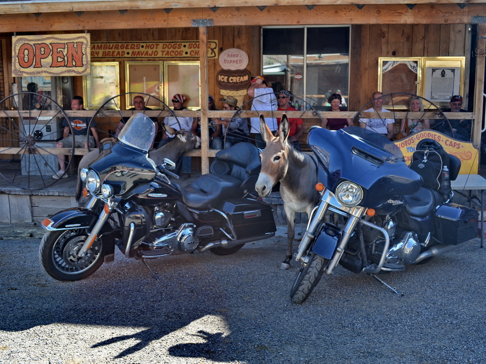 Oatman