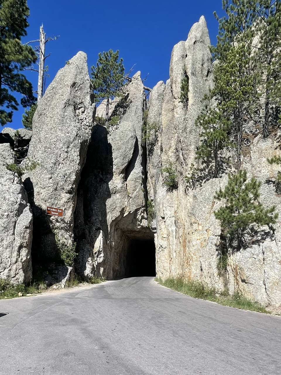 Sturgis Rally & Rockies